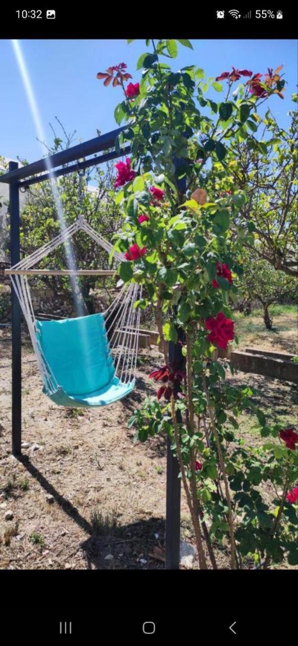 Finca Barahona Casa Barahona Casa Bahoruco, Casa Bohechio อัลเตอา ห้อง รูปภาพ
