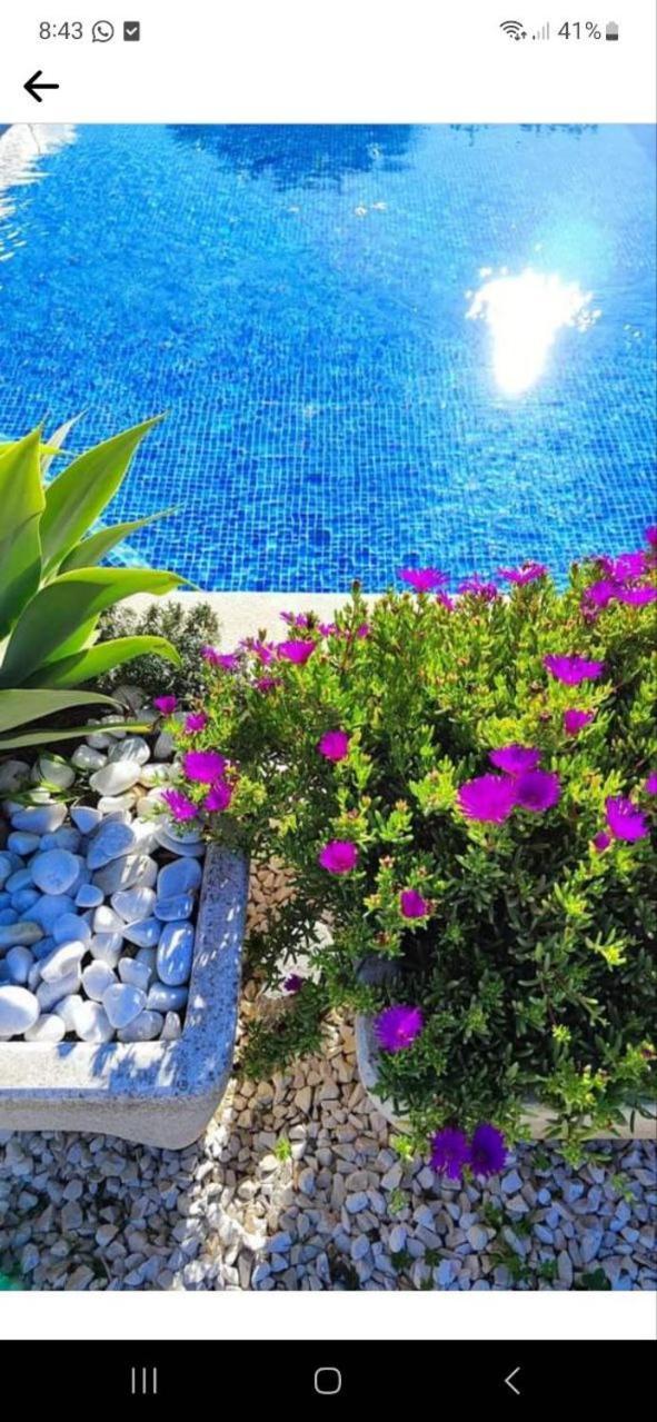 Finca Barahona Casa Barahona Casa Bahoruco, Casa Bohechio อัลเตอา ห้อง รูปภาพ